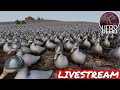 ULTIMATE FIGHT BETTING | The Silliest | Shinshin Live
