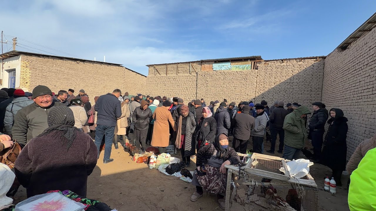 БЕРУНИЙ ТОВУК БОЗОРИ 01.03.2026