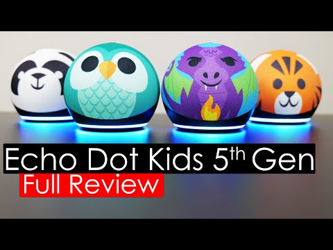 Kids Echo Dot (5th Gen 2022) - Owl