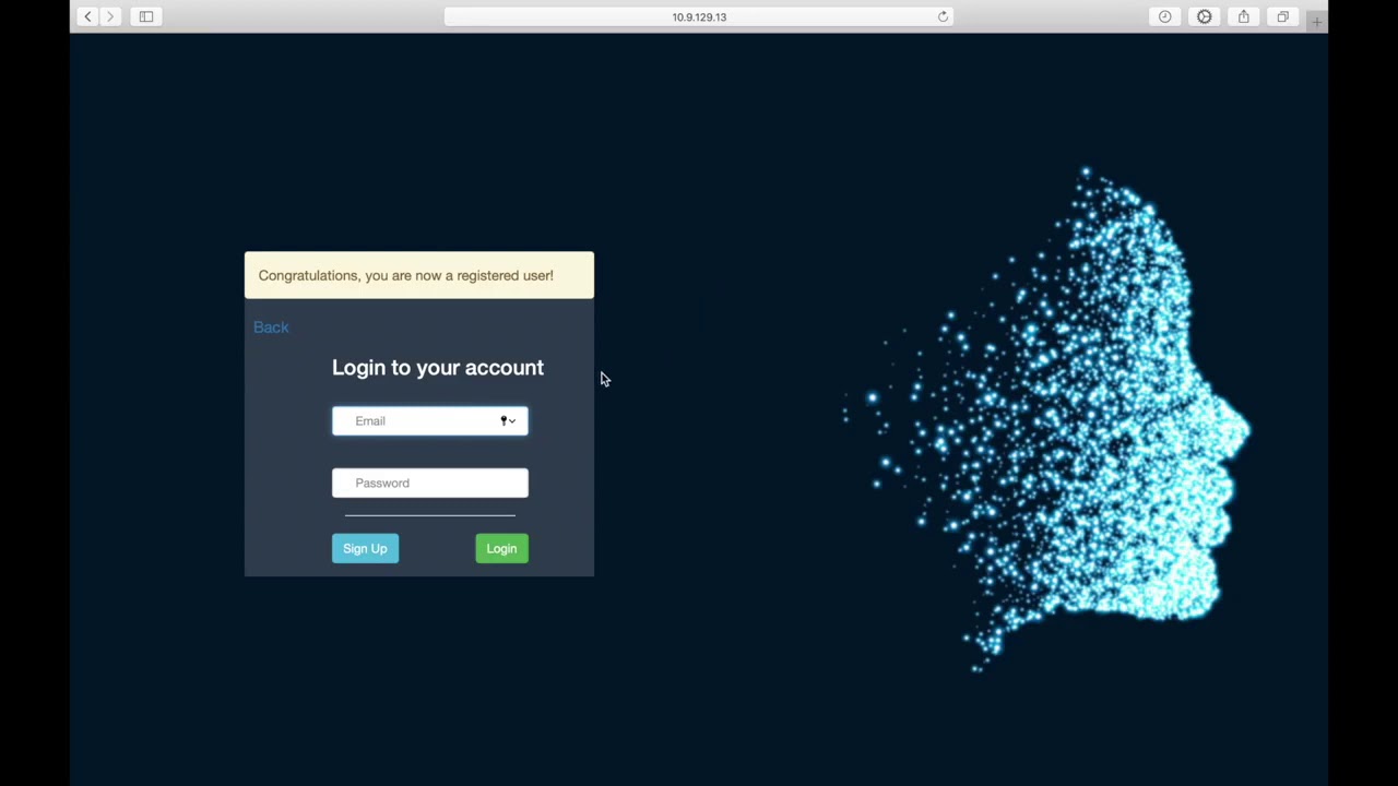 Human emotion recognition web app - Naiyun Wu/Tong Niu/Yumo Liu/Zihan ...