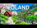 Poland Travel 4K Historic Towns Peaceful Countryside Timeless Central Europe Travel 4K