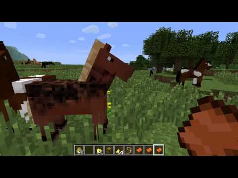 Leksykon o Minecraft #5 Konie,Osły,Muły i wiele więcej!