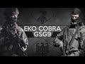 GSG9 & EKO COBRA
