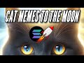 Are solana cat meme coins the next meta  next 100x gains to be made  top cat tokens to watch 