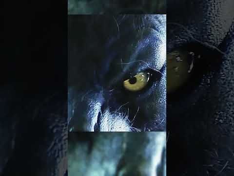 Оборотень преследует девушку #фильм #кино #shortvideo #сериал #киноактеры #шортс #movie #фильмы