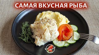 Треска в сливочном соусе, готов её есть каждый день 🐟 Fish in creamy sauce