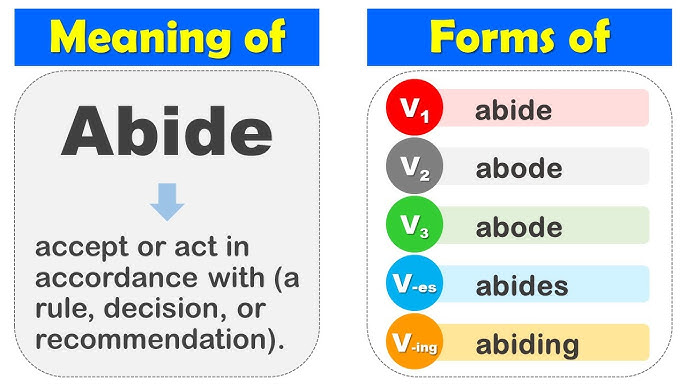 Could Have V3 and Example Sentences - English Grammar Here