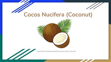 BBE 1002 Group 41 Coconut Presentation