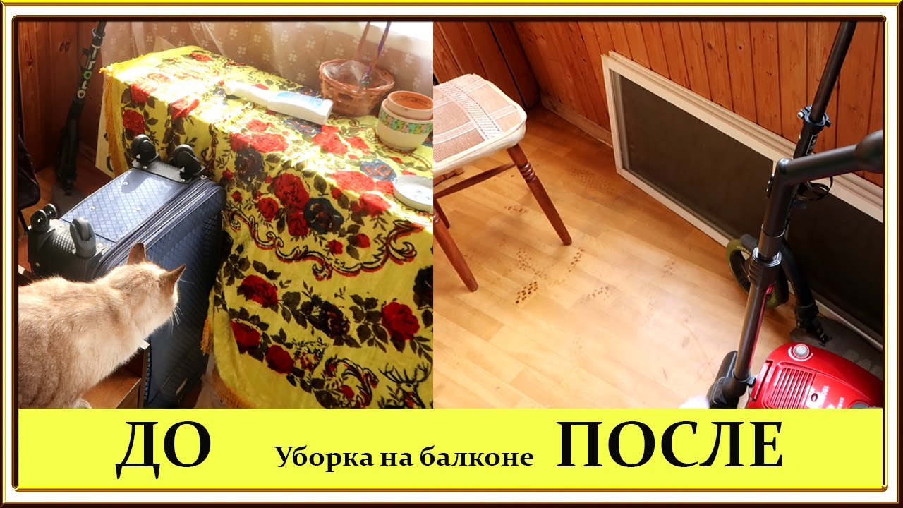 Жучки на капоте