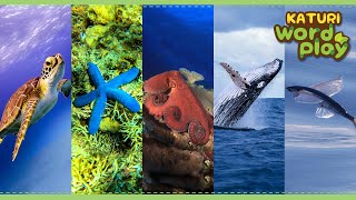 * Animals that live in water * | Katuri Word Play | Learn Animals | Animals for kids to learn