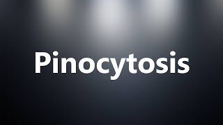 Pinocytosis - Medical Meaning and Pronunciation