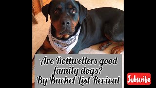 Are Rottweilers good family dogs By Bucket List Revival