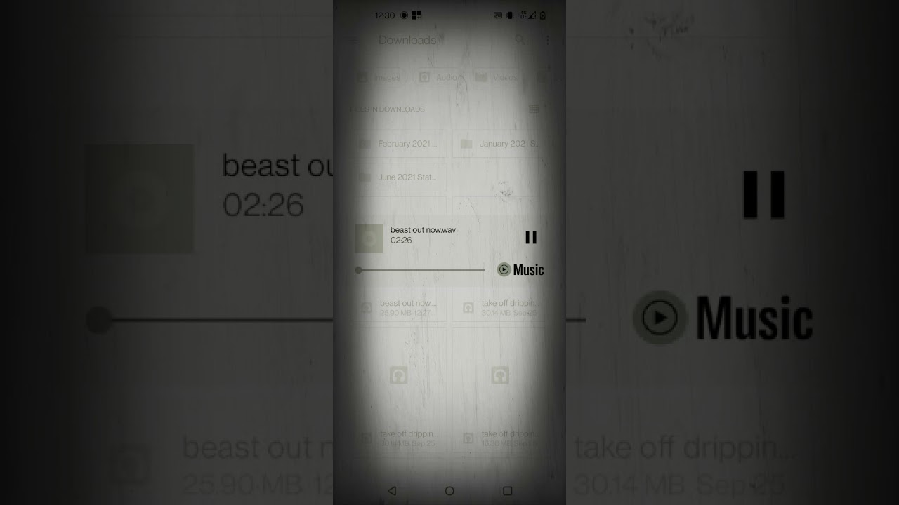 Lil Nicktorious - Beast out