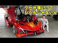 【 試乗 】4億円超えの アポロ・エボ と 5億円の パガーニ・ウアイラR で全開かましてきました。Apollo Project EVO。Pagani Huayra R。