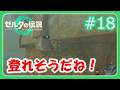 【ゼルダの伝説 ティアキン #18】【初見】熱くて寒いゲーム【ゆっくり実況】