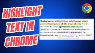 How to Highlight Text in Chrome (and Save It)