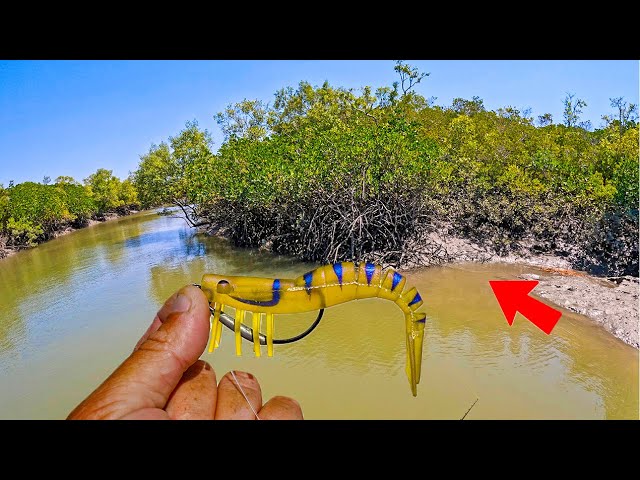 Strangest Catch and Cook Ever  Fishing the Wild FLASHBACK 