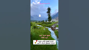 الشيخ السيد سعيد 