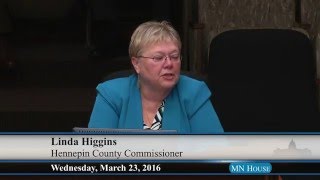 House Health and Human Services Reform Committee - part 2  3/23/16