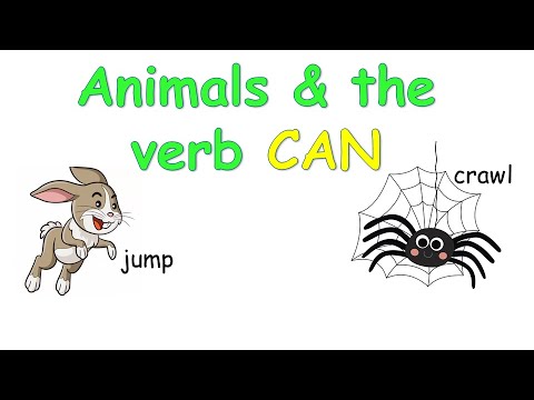 Modal verb can. Модальный глагол can. Animals and what they can do