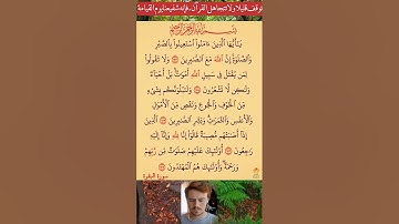 تلاوة خاشعة ومبكية للشيخ ماهر المعيقلي.يا أيها الذين آمنوا استعينوا بالصبر والصلاة.#quran #fypシ