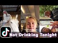 I&#39;m Not Drinking That Much Tonight | TikTok Compilation