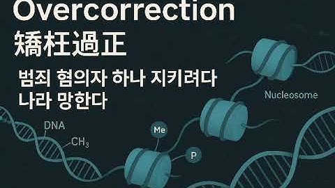 《교왕과정(矯枉過正) - 범죄 혐의자 하나 지키려다 나라 망한다》ㅣ재즈 발라드로 풍자한 사법 시스템 붕괴｜Smoke and Verdict - K-Jazz Ballad Ver.