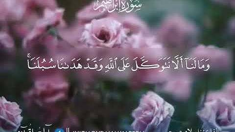 اسلام صبحي سورة ابراهيم ئايەتی (١٢)بۆ(١٨)