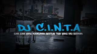 DJ C.I.N.T.A || luka luka yang kurasakan bertubi tubi yang kau berikan -🎶🎶