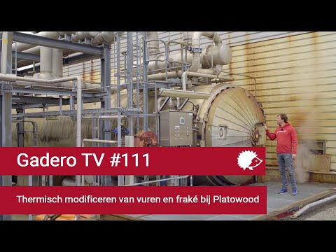 Video: Kan drukbehandelde hout gevlek word?