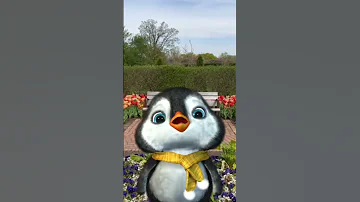 Happy Mamas Day Iloveyou Iloveyoumom Cuteanimals Penguin 