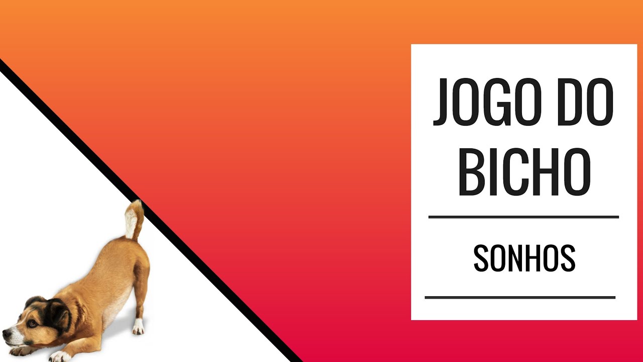 Sonhar com cachorro no jogo do bicho: conheça o significado - O