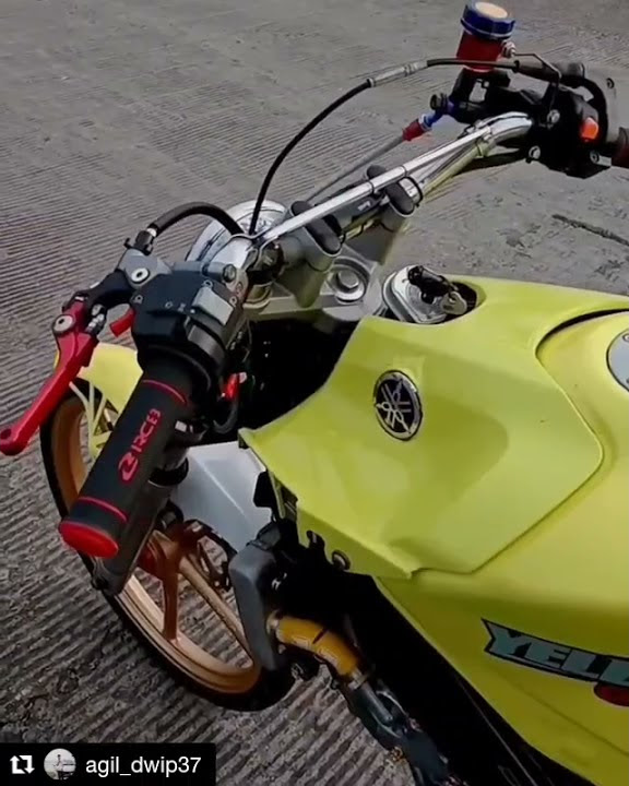 STORY'WA VIJAR YEREX INDONESIA 🤟🎶