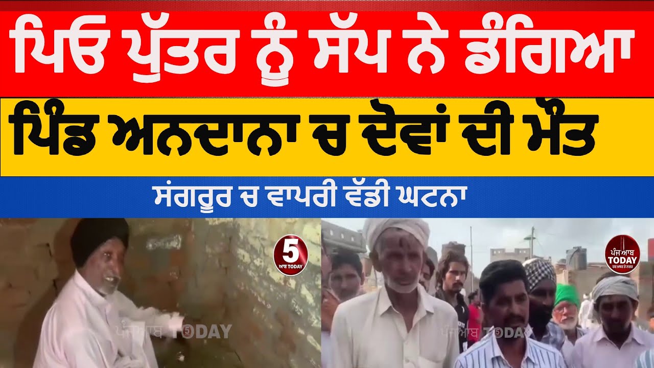 Snake bitten to father and son in sangrur | sangrur andata village son and father died |sangrur news