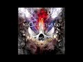 Ne Obliviscaris - Xenoflux (Filtered Instrumental)