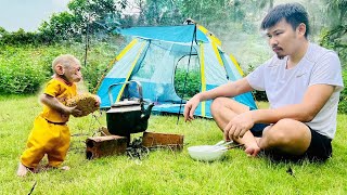 Camping journey of monkey Bibi and dad!