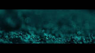 Micro Documentary: Anders Bach