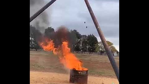 How we are dealing with the mice plague in Australia