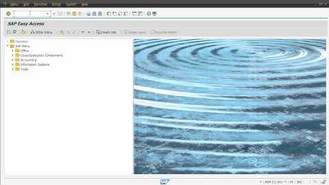 Multiple Application Servers