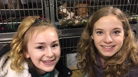 Humane Society Fundraiser