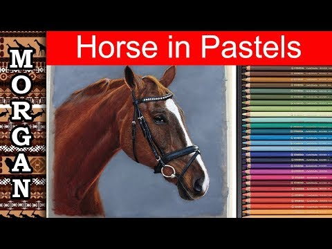 how-to-draw-a-horse-using-pastel-pencils---jason-morgan-wildlife-art