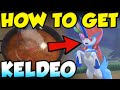 CROWN TUNDRA KELDEO LOCATION! How To Get Keldeo In Pokemon Sword and Shield