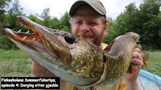 Fiskeskolens Sommerfisketips, episode 4: Dorging etter gjedde