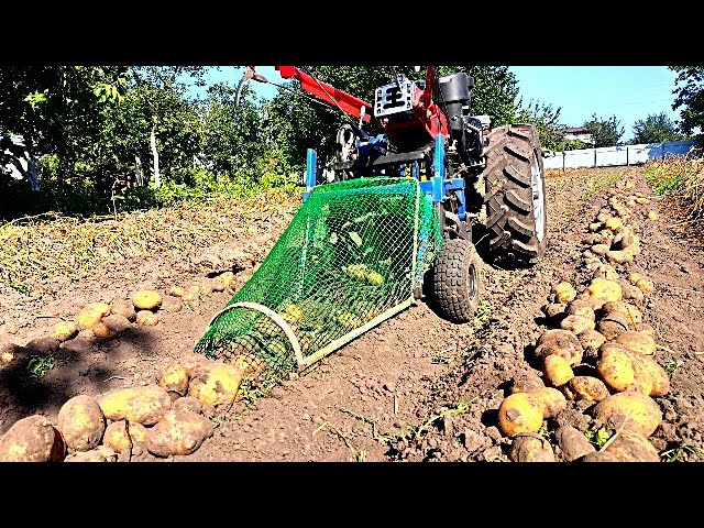 Chjan Ziyining porno suratlari SSSRning shaxsiy havaskor qora va oq porno fotosuratlari