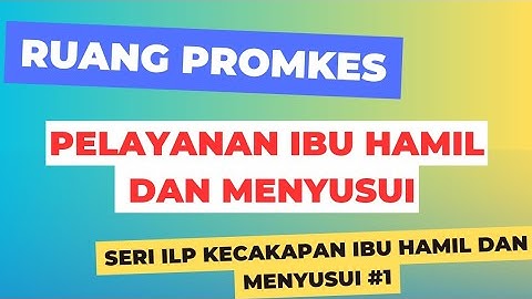 kecakapan kader pelayanan ibu hamil dan menyusui