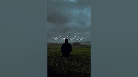 أكتب شئ تؤجر عليه | #محمد_اللحيدان #سورة_آل_عمران