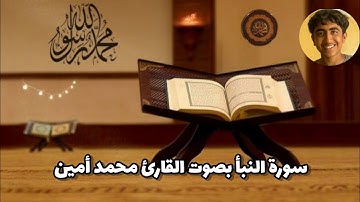 سورة النبأ بصوت القارئ محمد أمين 💚🇵🇸🇲🇦