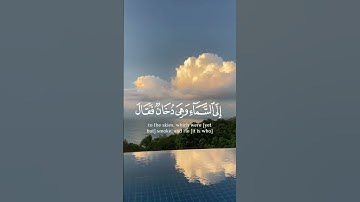 سورة فصلت تلاوة خاشعة بصوت يوسف عثمان