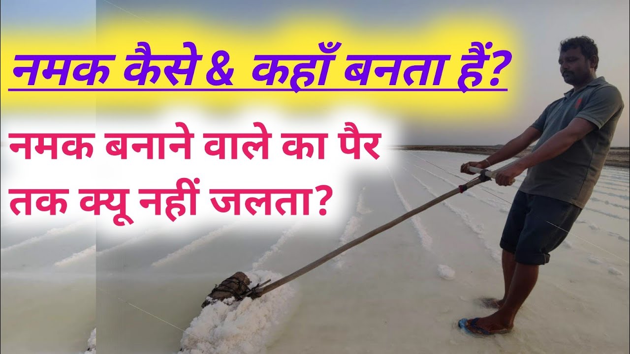 namak kaise banta hai /salt making process naturally in India YouTube