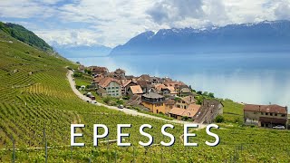 Epesses - A Swiss village in the spectacular Lavaux UNESCO region.